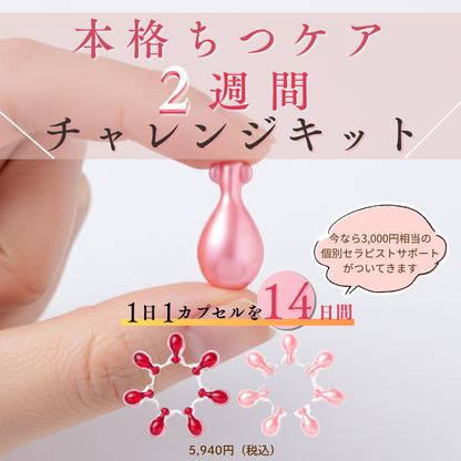 2週間チャレンジキット