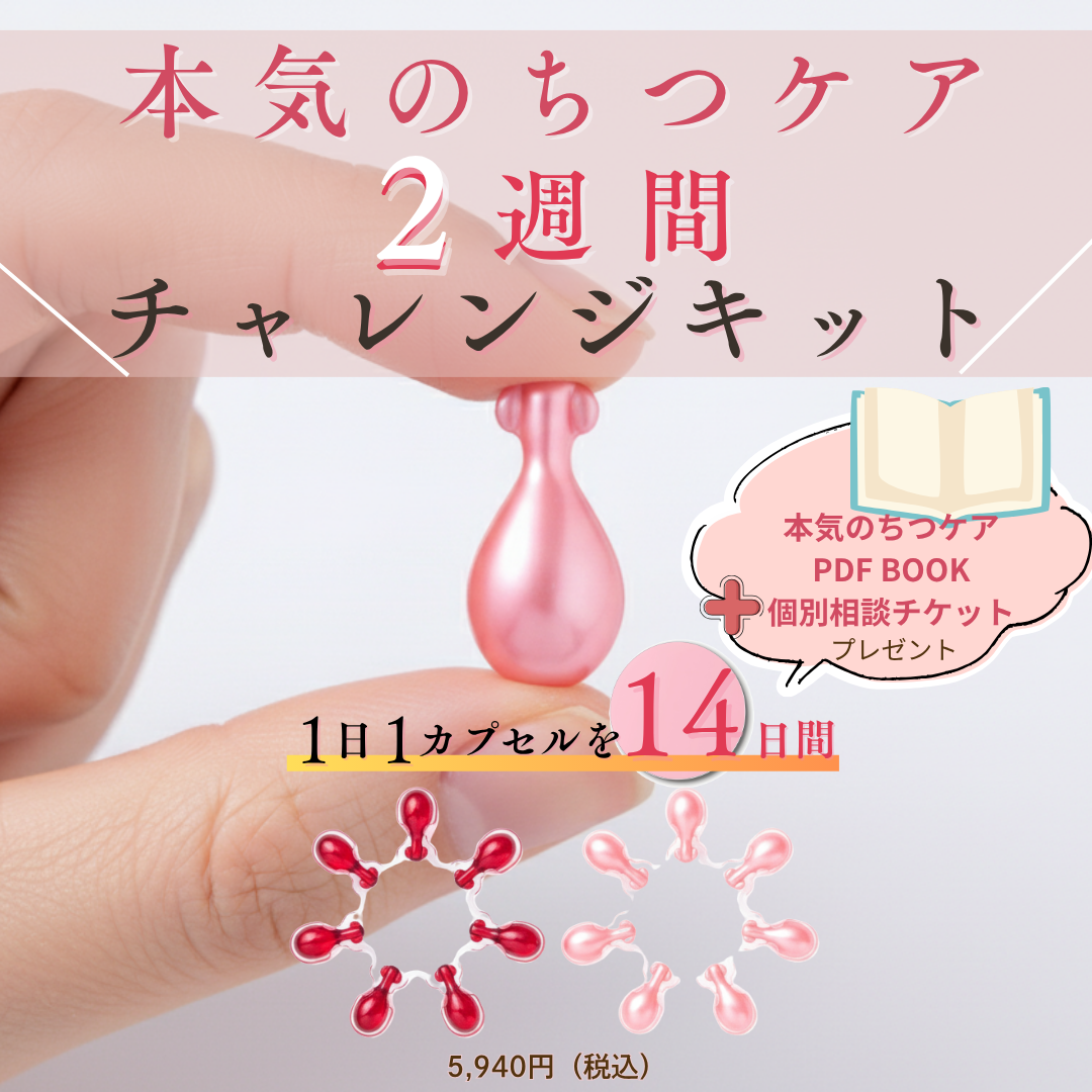 2週間チャレンジキット