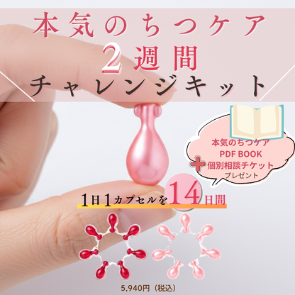 2週間チャレンジキット